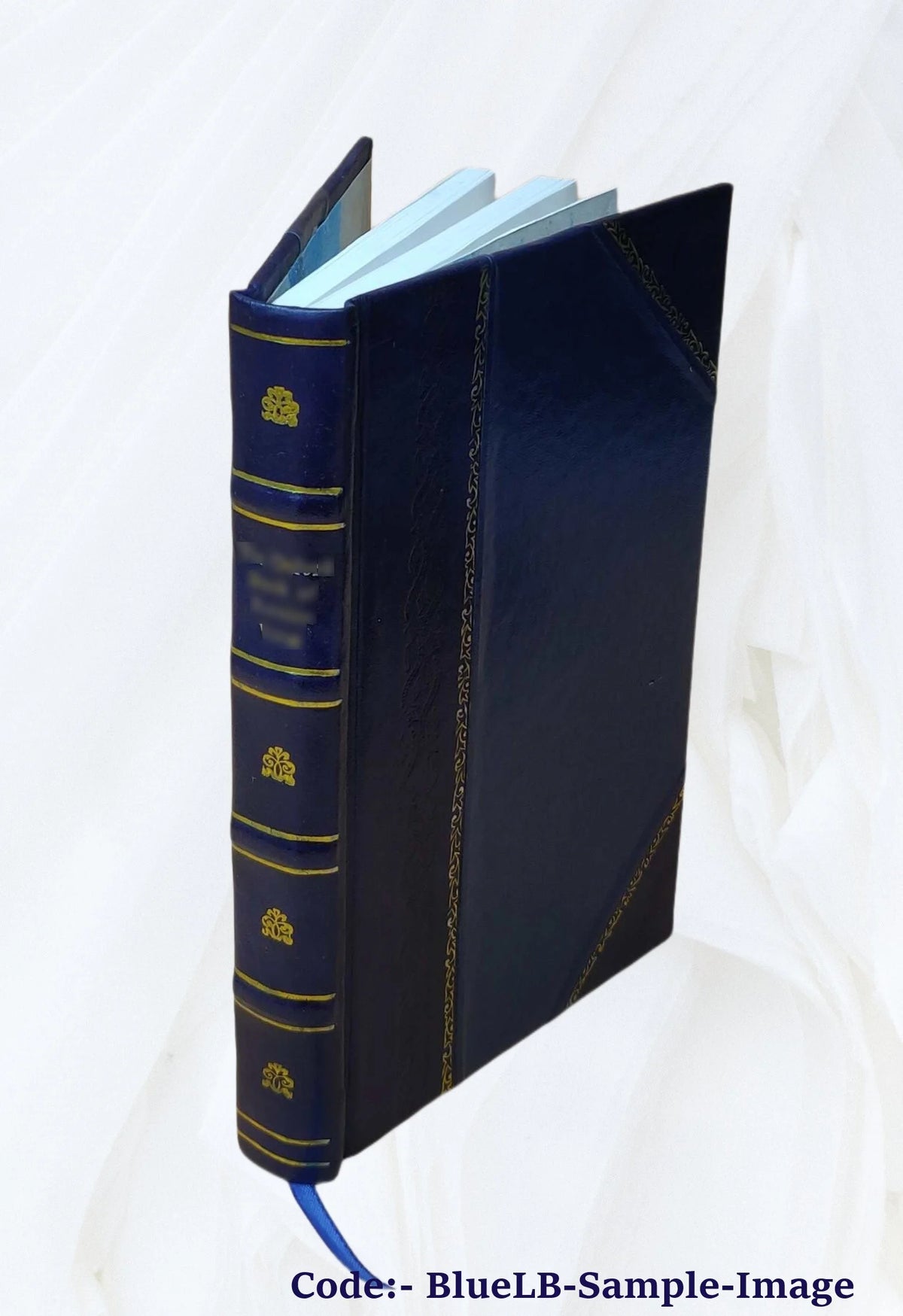 1919 Leather Bound Book K255