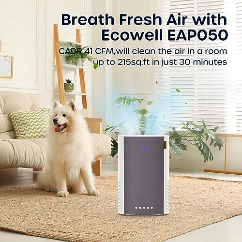 HEPA H13 Filter Air Purifier B3619