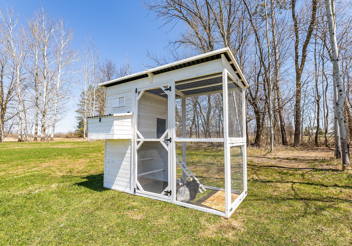 Walk-In Chicken Coop Z377894