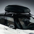 Roof Box Cargo Carrier T496354