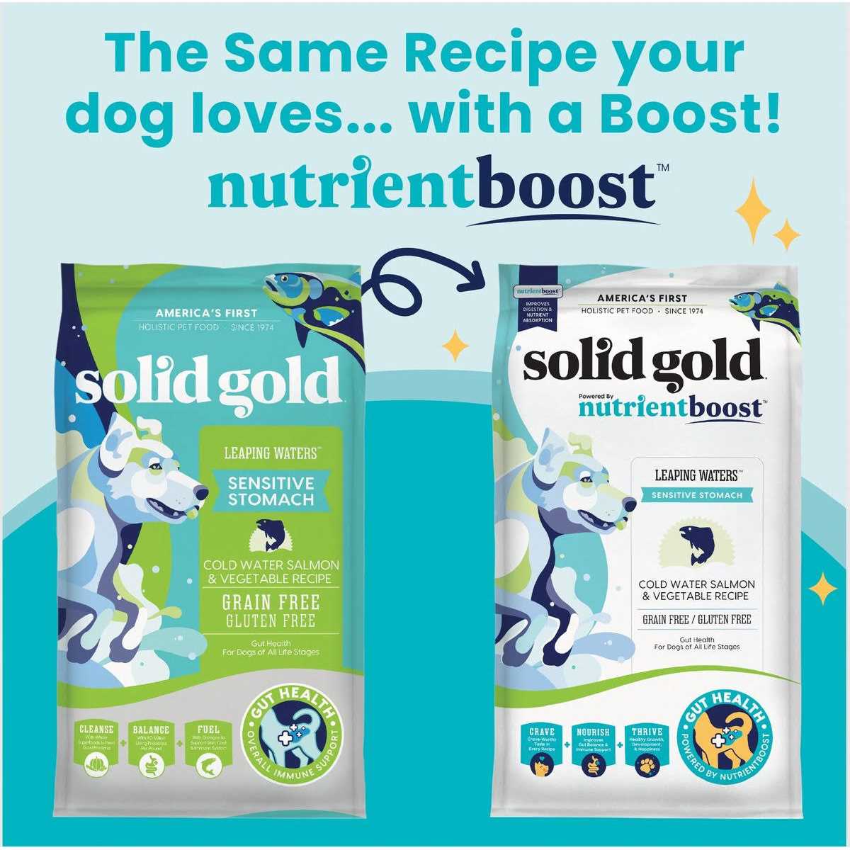 Solid Gold Nutrientboost Leaping Waters Dry Dog Food T17564