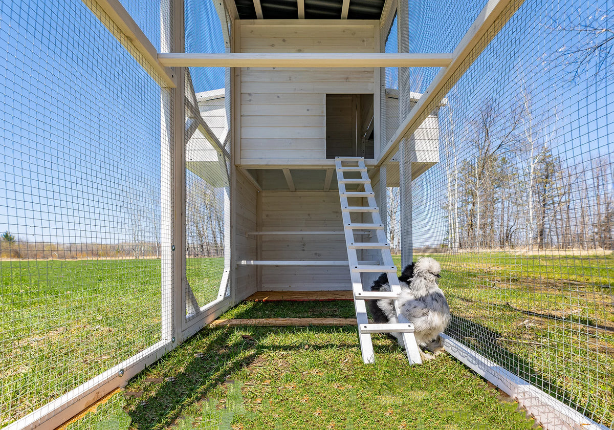 Walk-In Chicken Coop Z377894