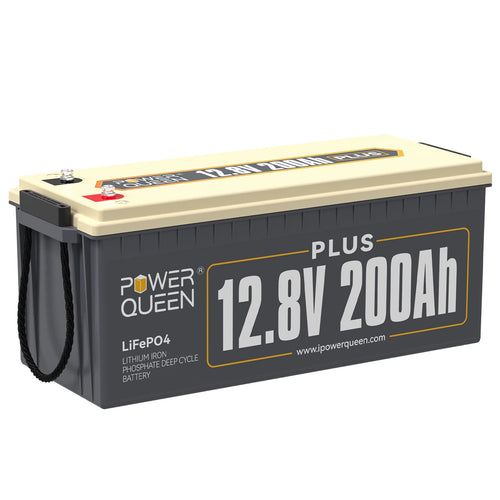 12V 200AH LiFePO4 Deep Cycle Lithium Battery D259475