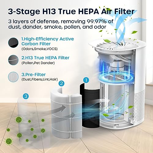HEPA H13 Filter Air Purifier B3619