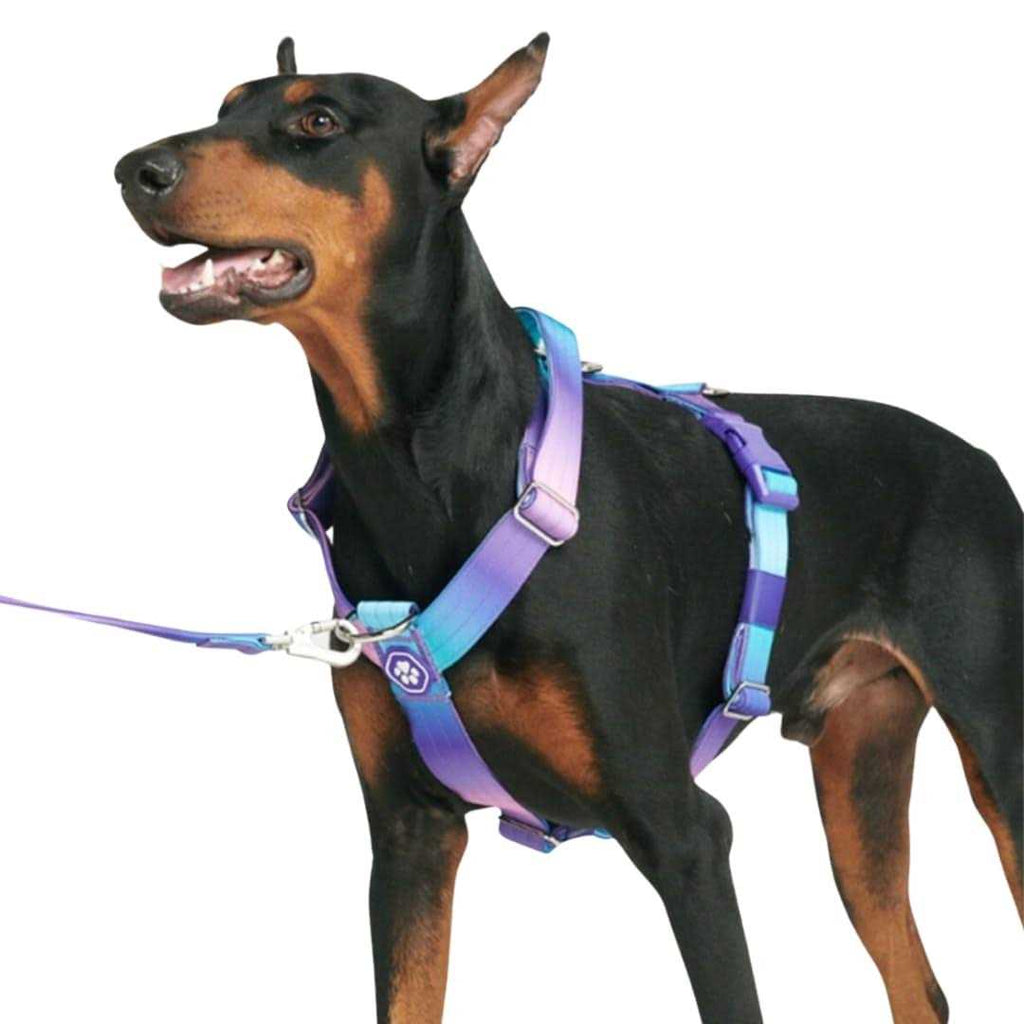 No-Pull Dog Harness R208623