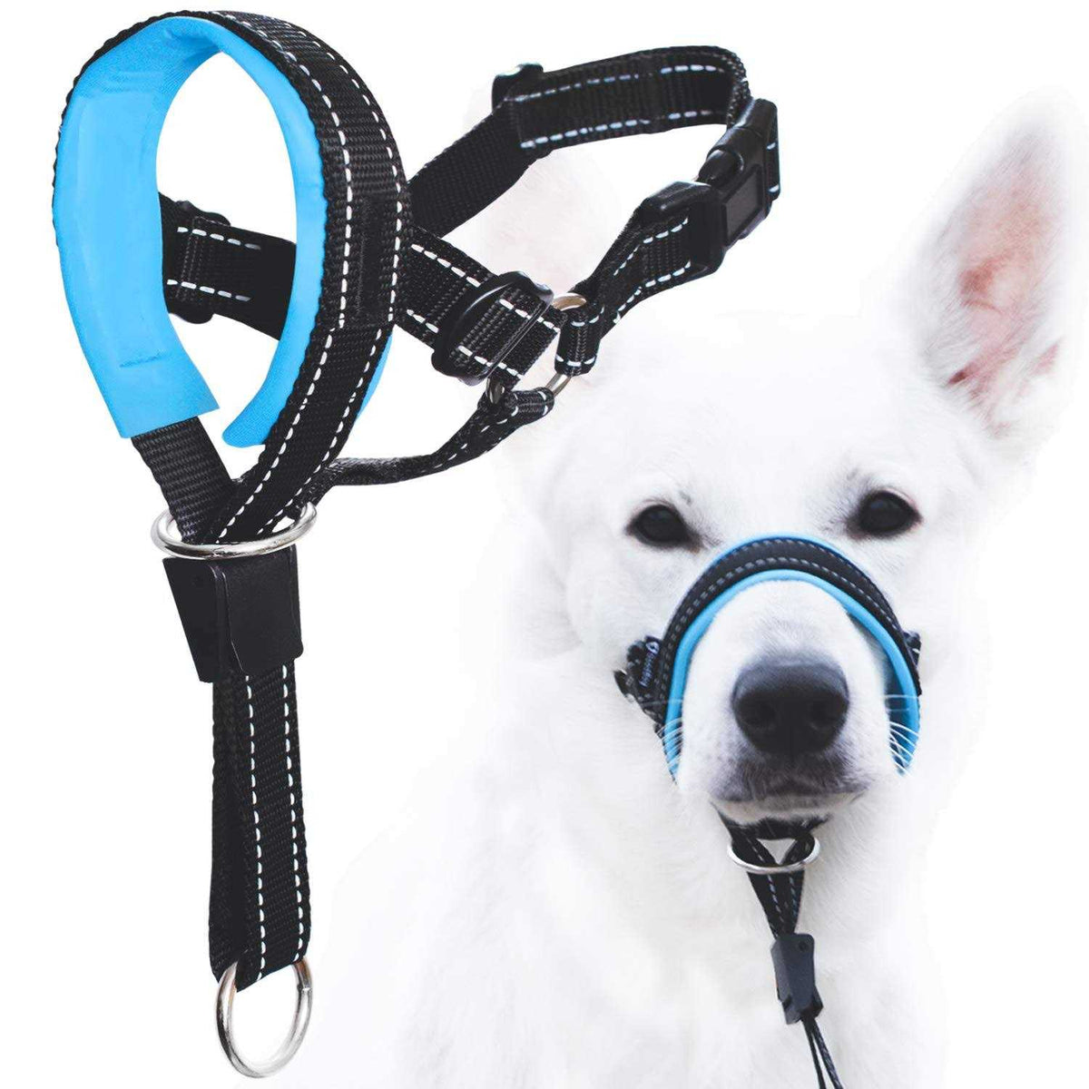 Dog Head Halter with Safety Strap U142058