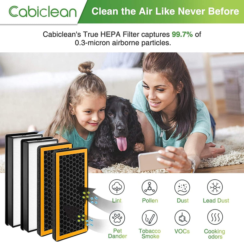 4 Pack Replacement Filters W96437