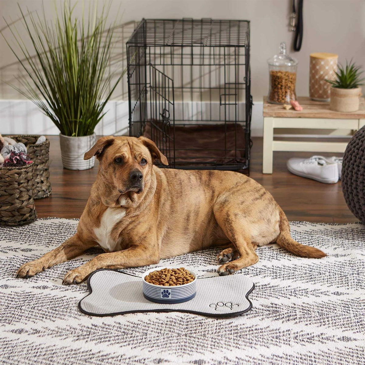 Bone Dry Paw Patch Pet Bowl T276