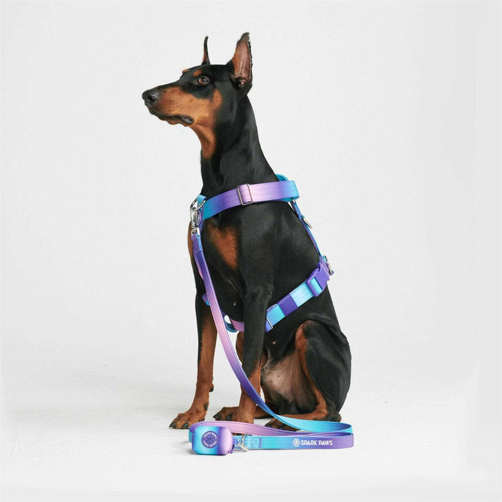 No-Pull Dog Harness R208623