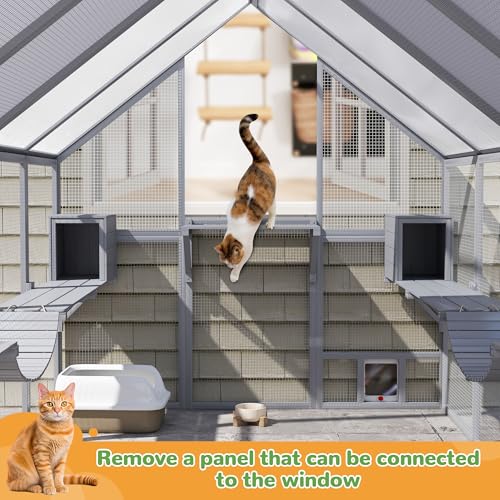 Grey Extra Large Wooden Outdoor Cat Enclosure with Canopy O9157