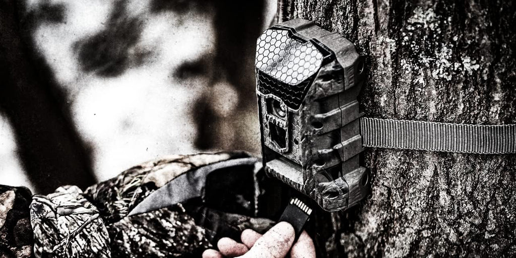 14 Megapixel Trail Camera I614299