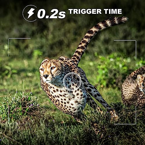 24MP 1080P Night Vision Trail Game Camera T43001