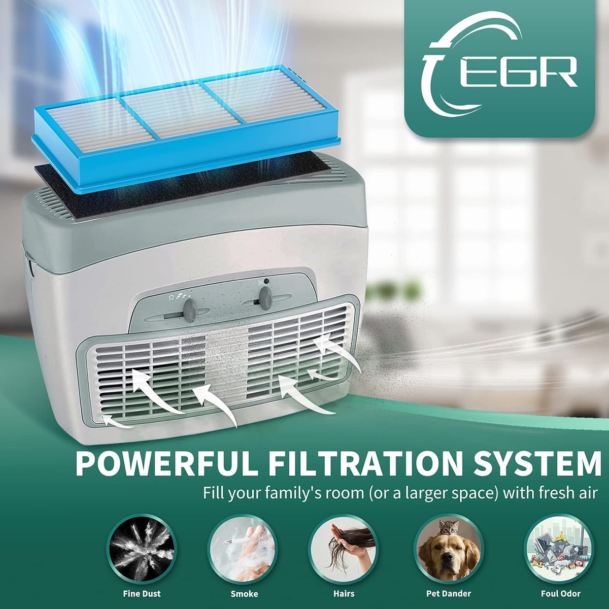 6 True HEPA + 12 Carbon Booster + 3 Cleaning Brushes Filter Replacement Q963492