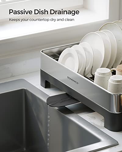 Large Stainless Steel Dish Drying Rack with Rotatable Spout, 12.5 x 22.5 in, Silver and Gray J285539