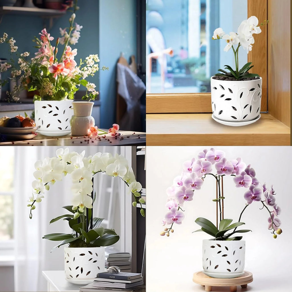 Set of 2 Ceramic Orchid Pots with Saucers, 5 inch & 6 inch G12102
