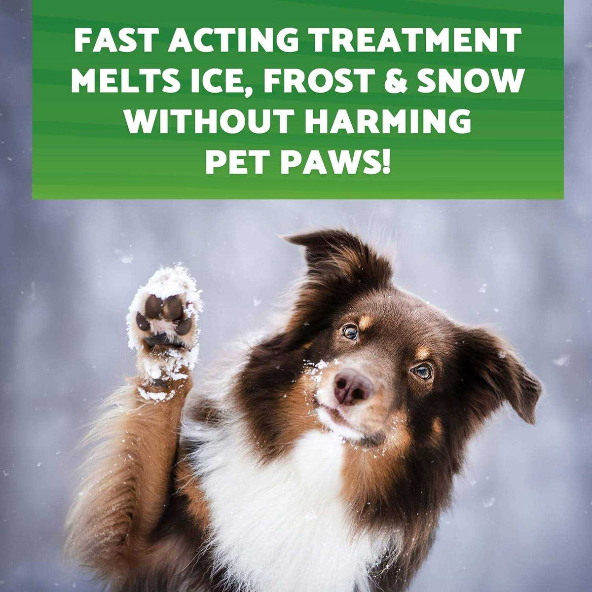 Pet Safe Ice Melt J5355