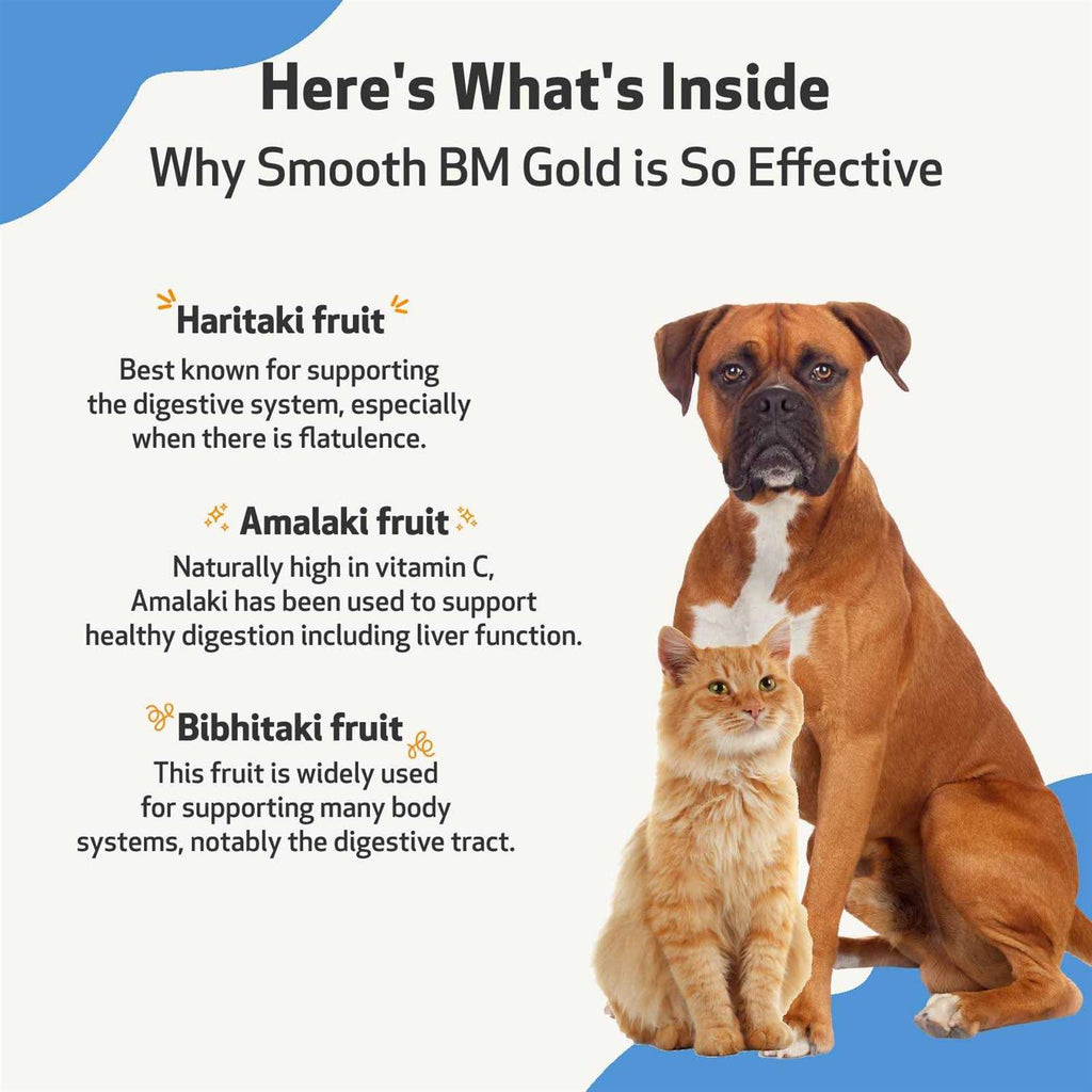 Smooth BM Gold Pet Supplies A40485