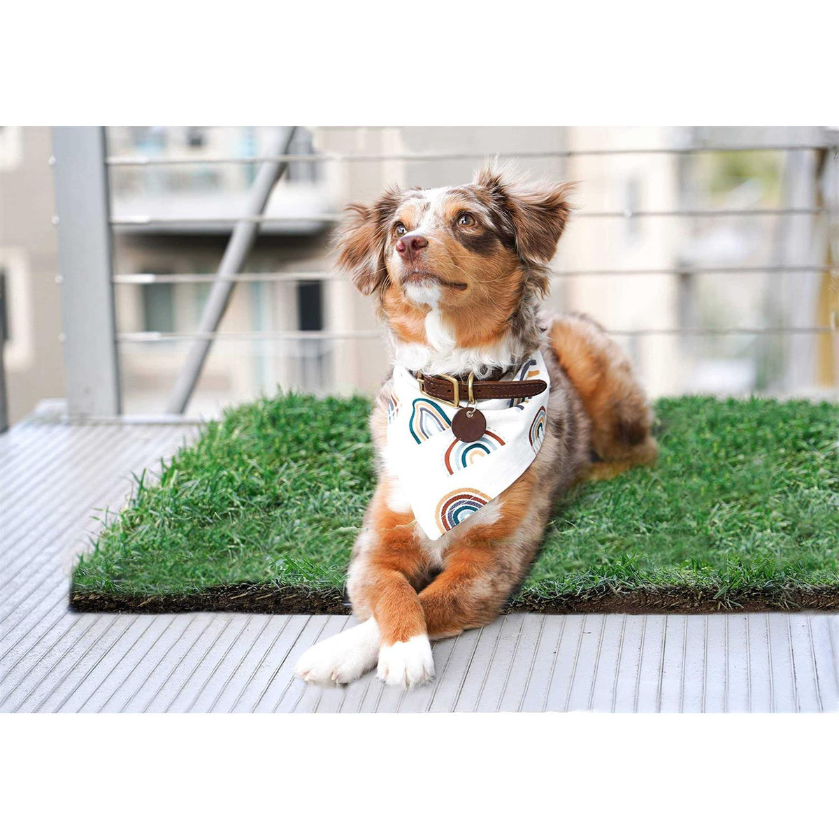 Real Grass Dog Potty V615