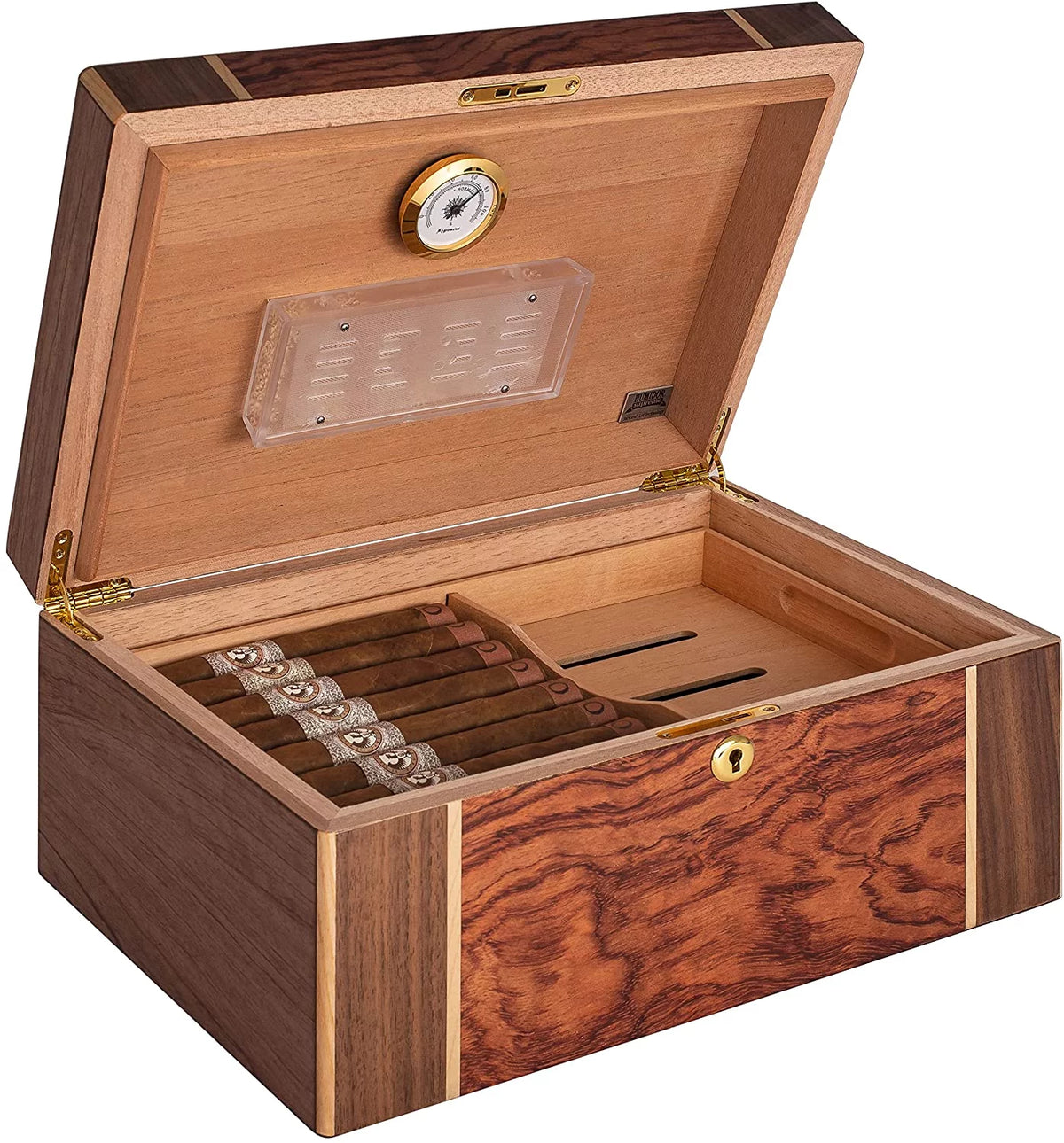 Desktop Cigar Humidor, High-Gloss Walnut B74783