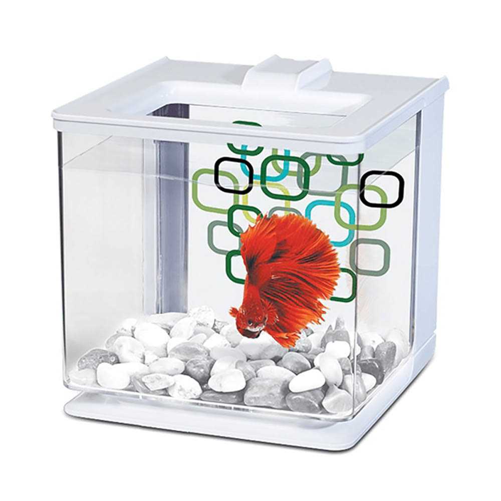 Betta Aquarium Kit G845889