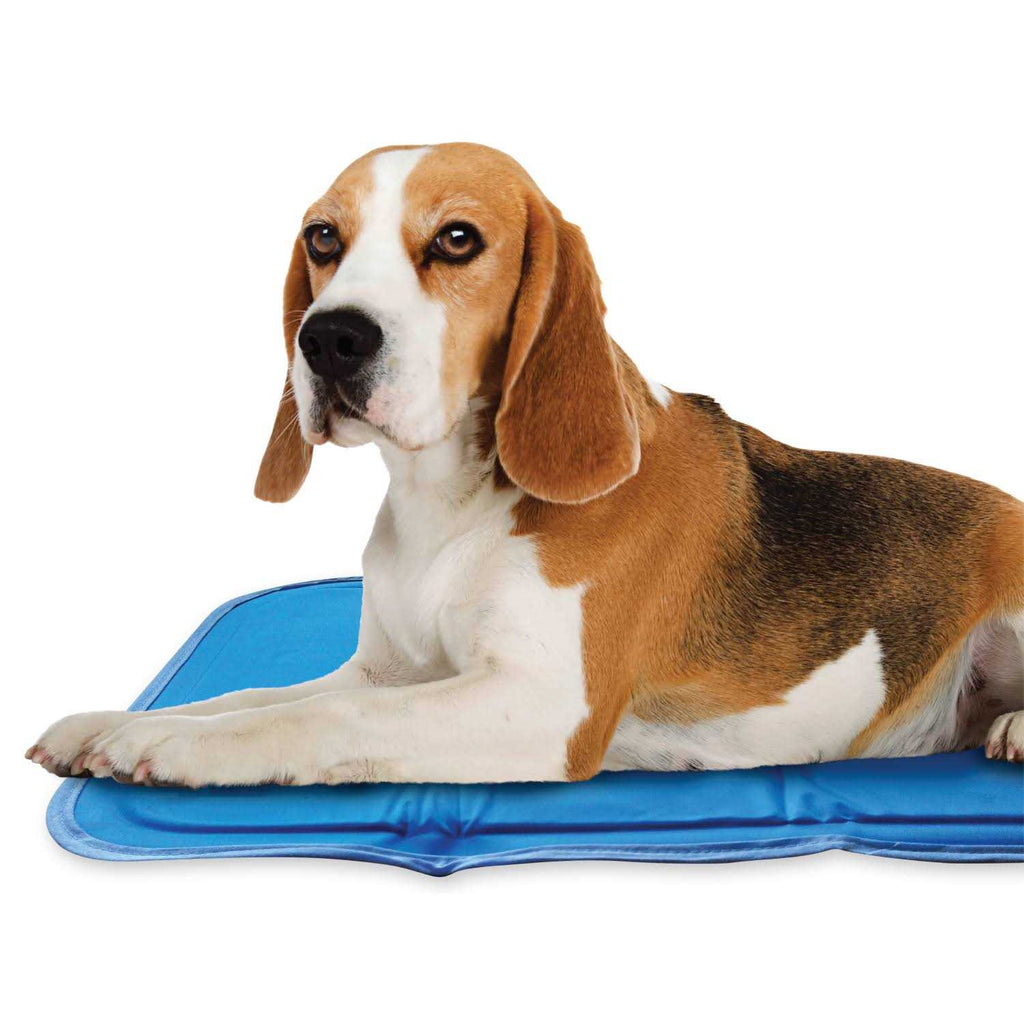 Sage Gray Self Cooling Pet Pad X921