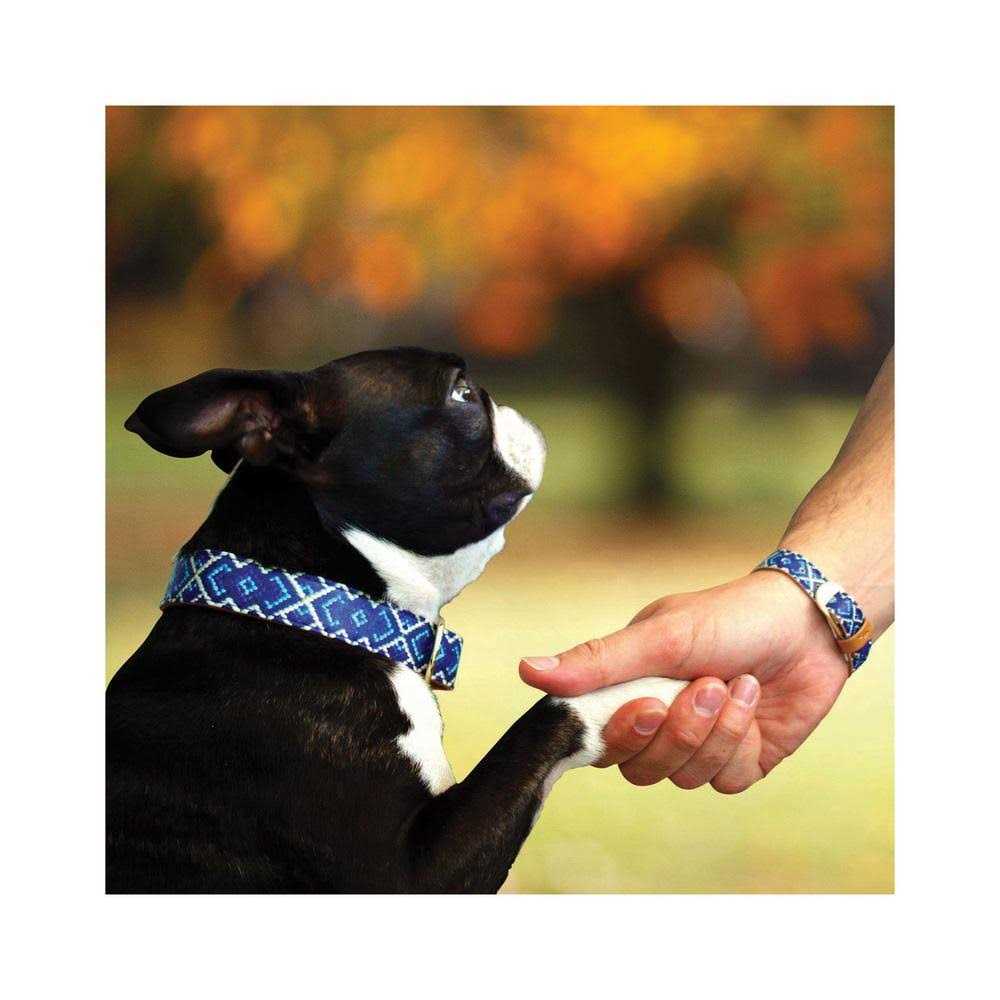 Dog Collar with Friendship Bracelet G9297