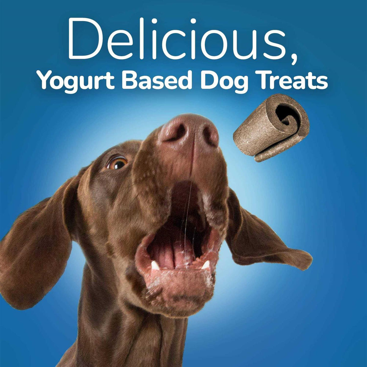 Yogurt Dog Treats C614