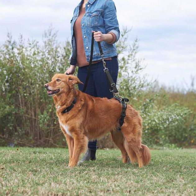 Handicapped Support Dog Harness V111980