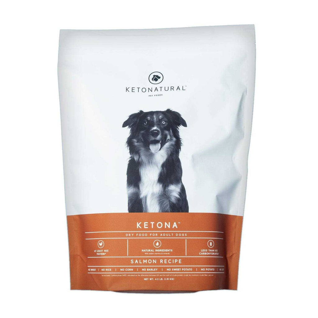 Salmon Recipe Adult Dry Dog Food S93176