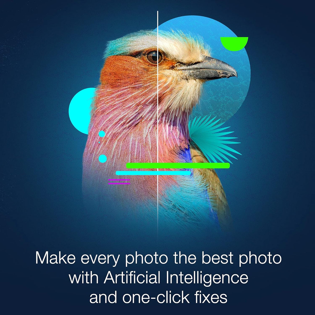 Photo Editing & Graphic Design Software with Creative Bundle A408846