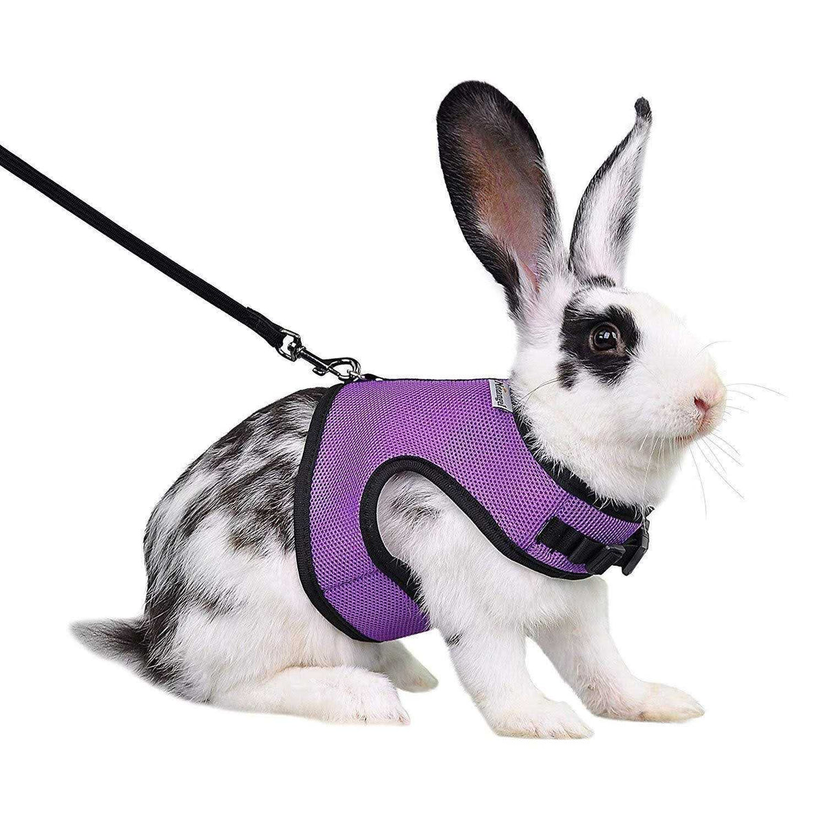Adjustable Soft Harness with Elastic Leash for Rabbits R73076