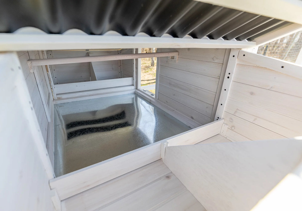 Walk-In Chicken Coop Z377894