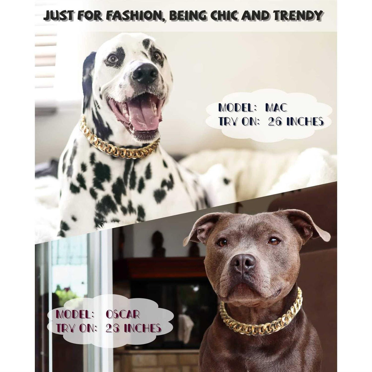 Gold Chain Cuban Link Dog Collar Q346