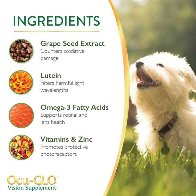 Vision Supplement for Small Dogs B865