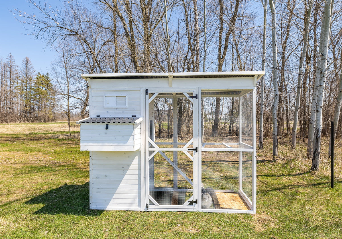 Walk-In Chicken Coop Z377894