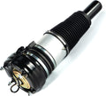 Front Air Suspension Shock Absorber Strut Y669397