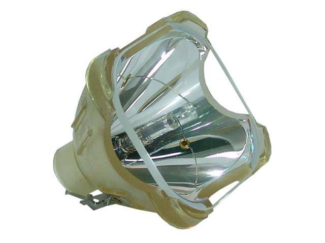 A7 Z-Fold Invitation (5 x 7) - Wasabi (100 Qty.) K64077