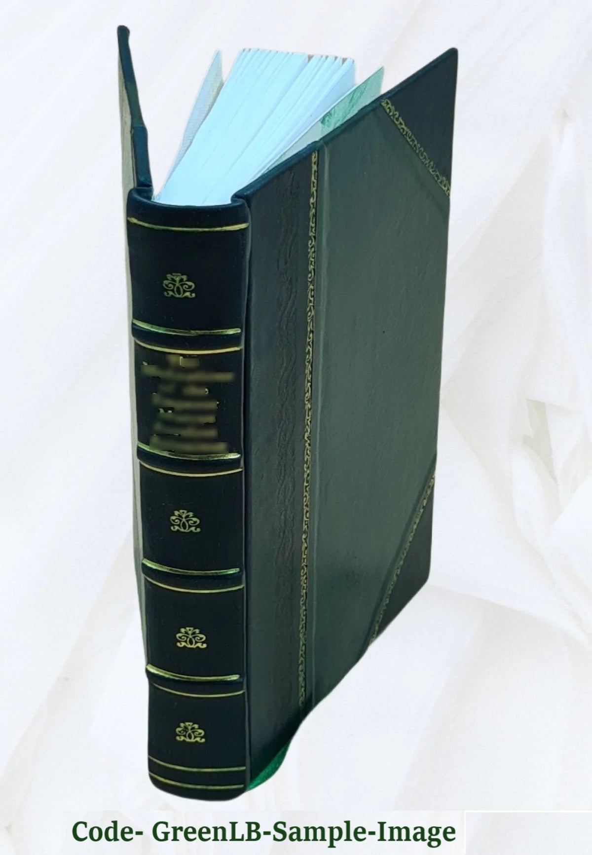 1 Volume Leather Bound Novel V9741