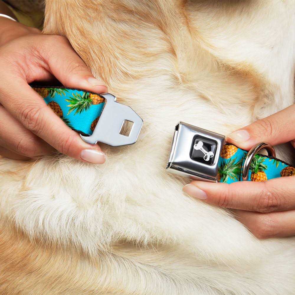 Dog Collar Seatbelt Buckle M3485