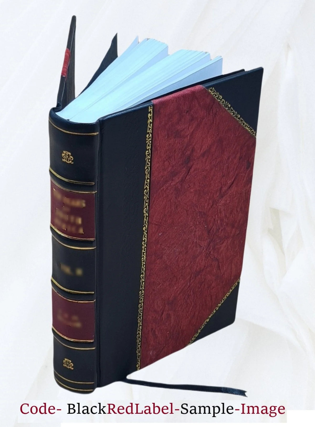 1 Volume Leather Bound Novel V9741